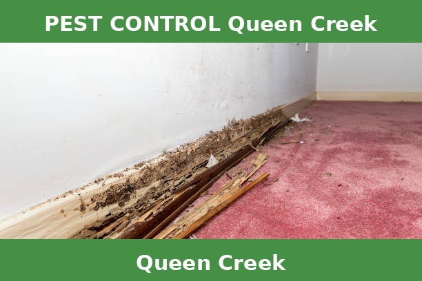 PEST CONTROL Queen Creek